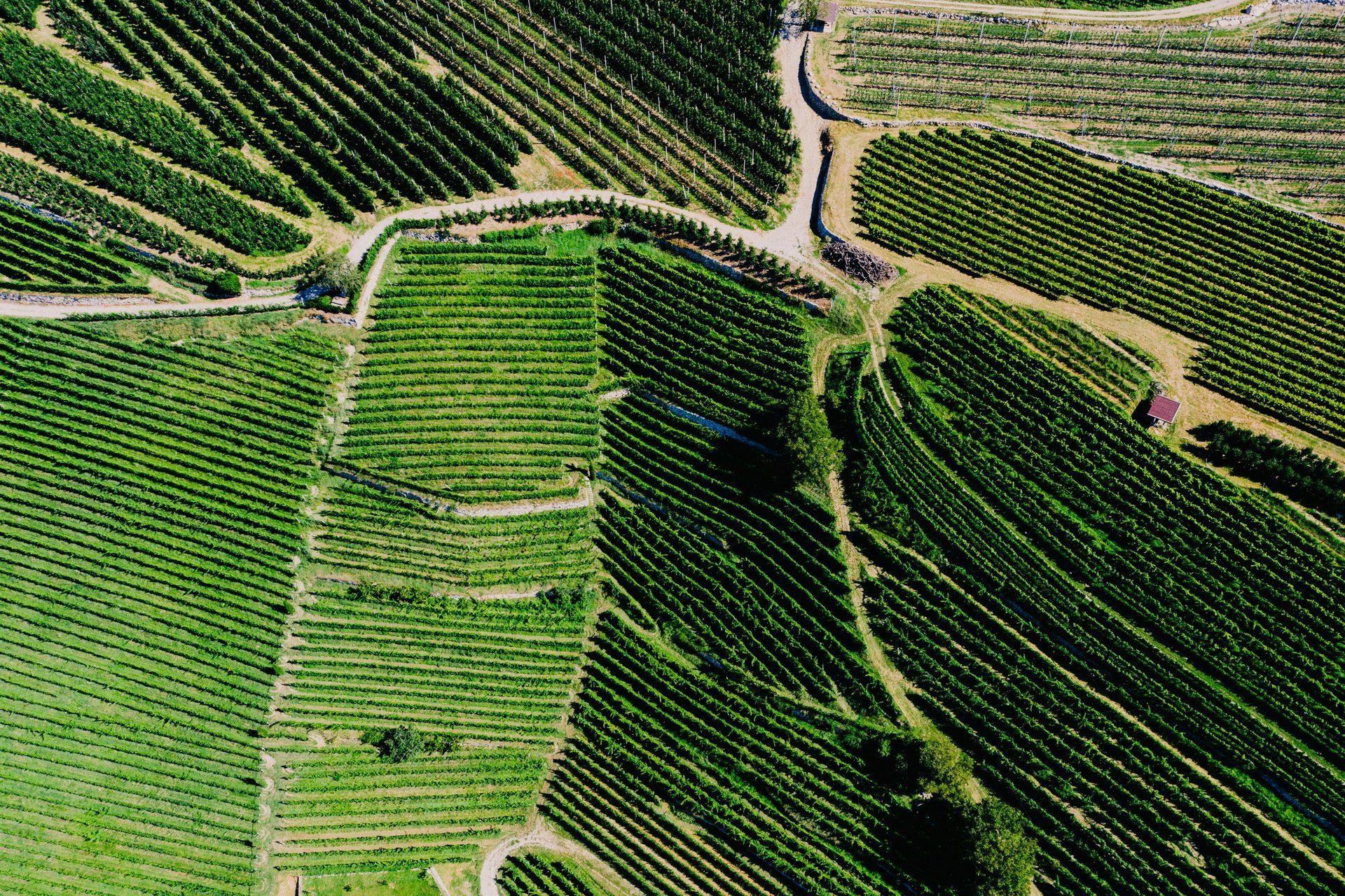 Vista aérea de campos de cultivo